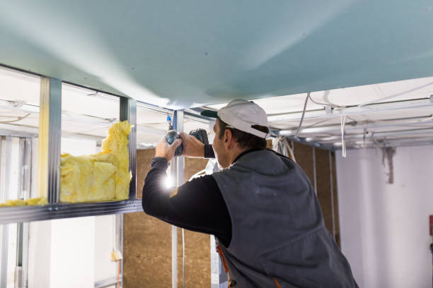Best Insulation for Specific Applications in Mount Pulaski, IL