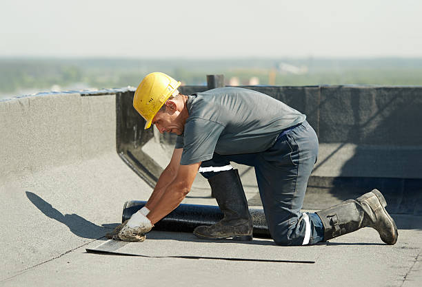 Best Residential Insulation in Mount Pulaski, IL