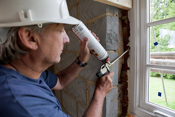 Best Insulation Maintenance and Repair in Mount Pulaski, IL