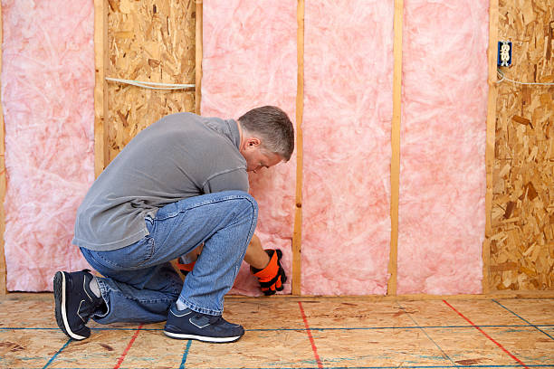 Best Types of Insulation in Mount Pulaski, IL