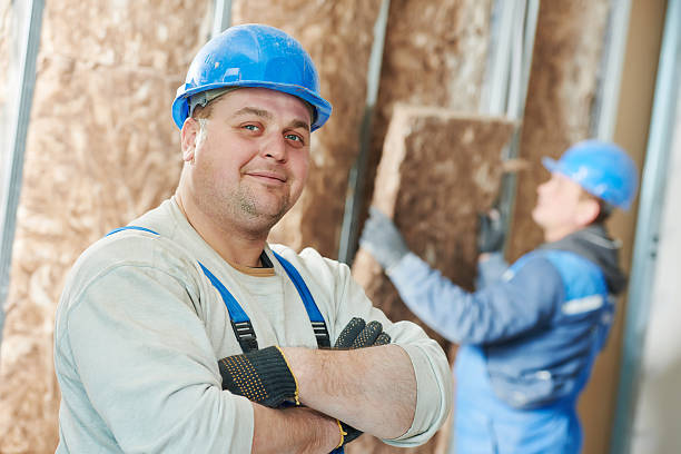 Best Insulation Materials and Products in Mount Pulaski, IL